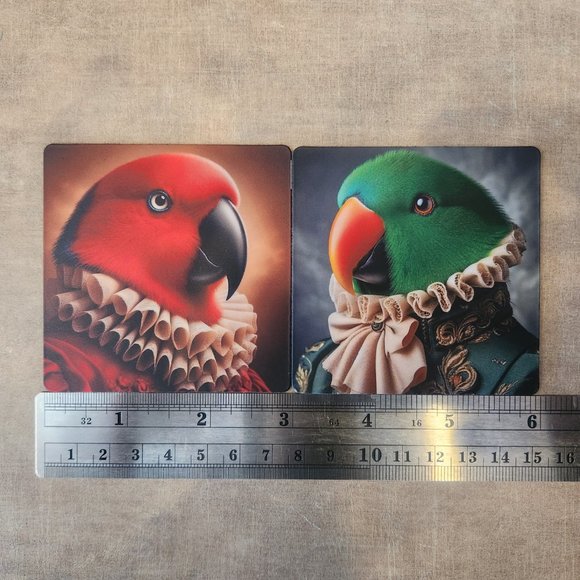 3x3 magnet female eclectus parrot in fancy dress - Picture 3 of 3